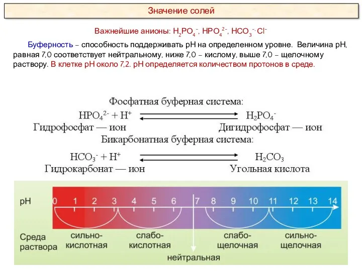 Важнейшие анионы: Н2РО4-, НРО42-, НСО3-, Сl- Буферность – способность поддерживать