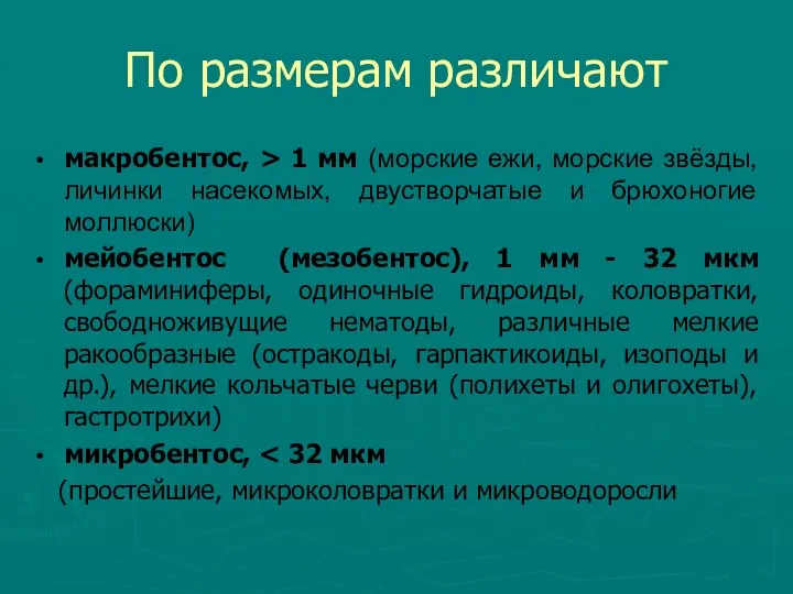 По размерам различают макробентос, > 1 мм (морские ежи, морские