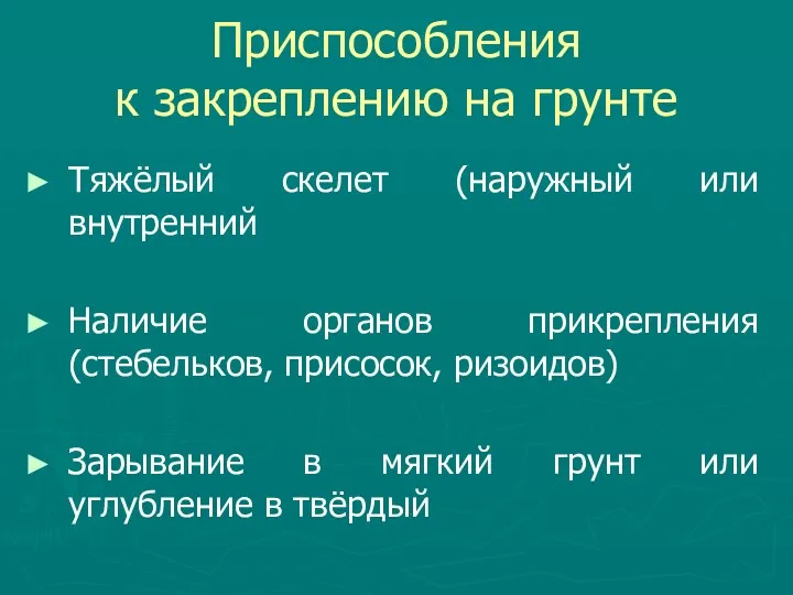 Приспособления к закреплению на грунте Тяжёлый скелет (наружный или внутренний