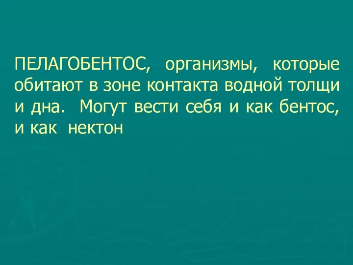 ПЕЛАГОБЕНТОС, организмы, которые обитают в зоне контакта водной толщи и