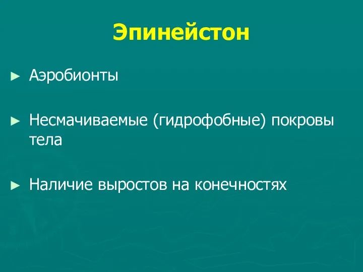 Эпинейстон Аэробионты Несмачиваемые (гидрофобные) покровы тела Наличие выростов на конечностях