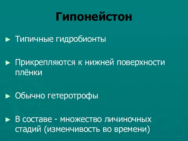 Гипонейстон Типичные гидробионты Прикрепляются к нижней поверхности плёнки Обычно гетеротрофы