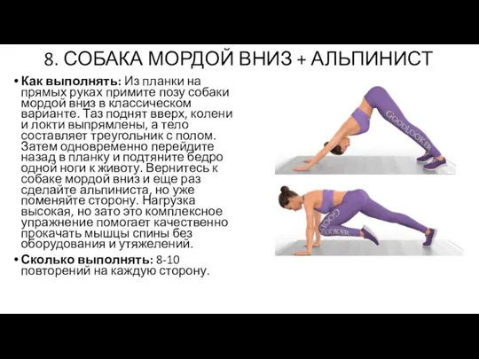 8. СОБАКА МОРДОЙ ВНИЗ + АЛЬПИНИСТ Как выполнять: Из планки