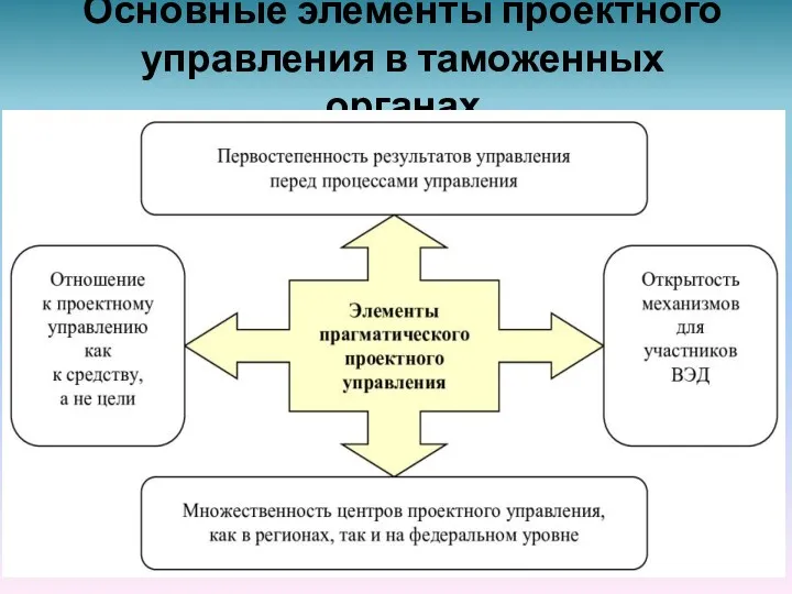 Основные элементы проектного управления в таможенных органах