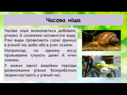 Часова ніша Часова ніша визначається добовою, річною й сезонною активністю