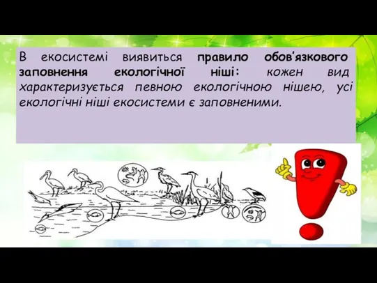 В екосистемі виявиться правило обов’язкового заповнення екологічної ніші: кожен вид