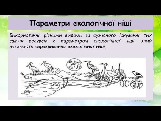 Параметри екологічної ніші Використання різними видами за сумісного існування тих