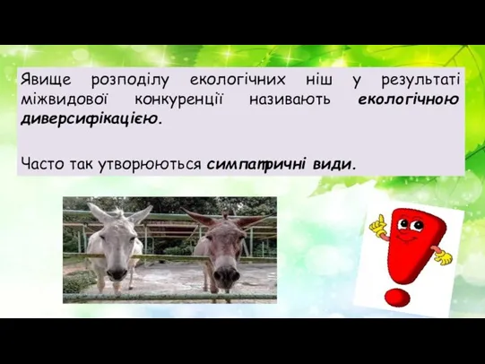 Явище розподілу екологічних ніш у результаті міжвидової конкуренції називають екологічною диверсифікацією. Часто так утворюються симпатричні види.