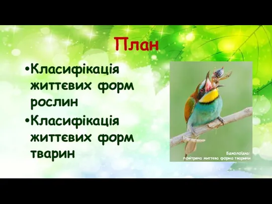 План Класифікація життєвих форм рослин Класифікація життєвих форм тварин Бджолоїдка: повітряна життєва форма тварини