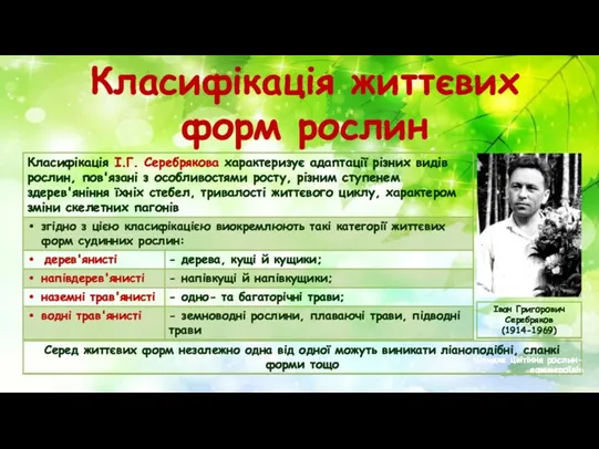 Класифікація життєвих форм рослин Швидке цвітіння рослин-ефемероїдів