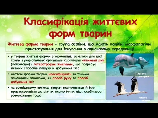 Класифікація життєвих форм тварин Осінні зміни рослин Плавання - дельфіни Літання - лелеки