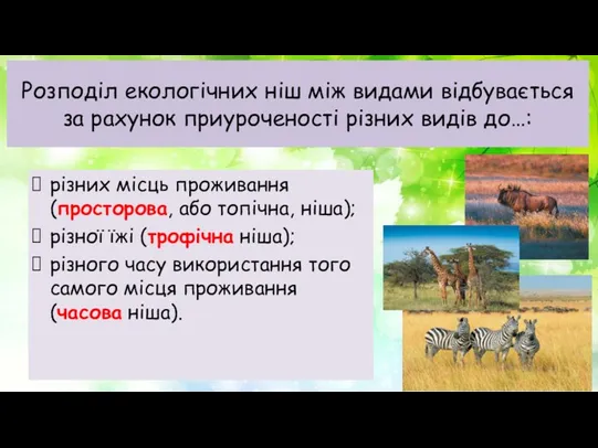 Розподіл екологічних ніш між видами відбувається за рахунок приуроченості різних