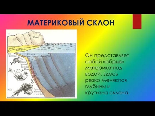 МАТЕРИКОВЫЙ СКЛОН Он представляет собой «обрыв» материка под водой, здесь резко меняются глубины и крутизна склона.