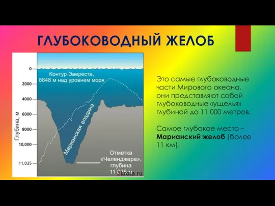 ГЛУБОКОВОДНЫЙ ЖЕЛОБ Это самые глубоководные части Мирового океана, они представляют