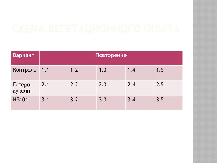 СХЕМА ВЕГЕТАЦИОННОГО ОПЫТА