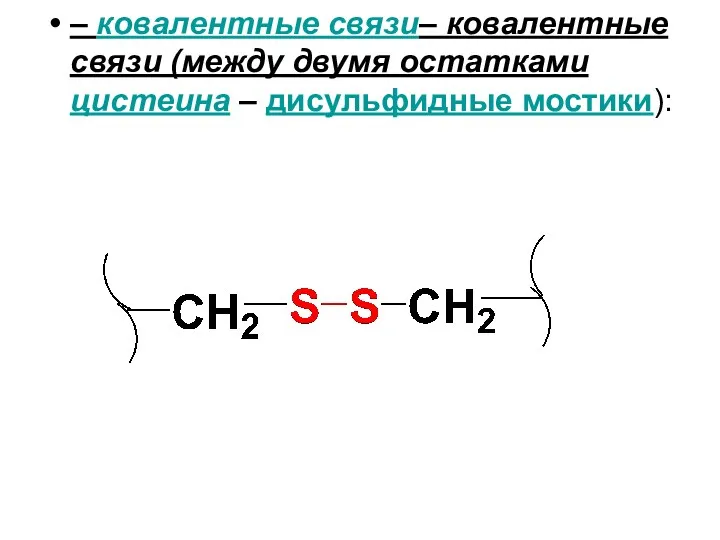 – ковалентные связи– ковалентные связи (между двумя остатками цистеина – дисульфидные мостики):