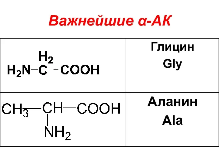 Важнейшие α-АК