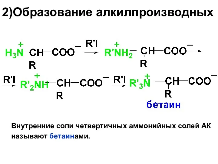 2)Образование алкилпроизводных Внутренние соли четвертичных аммонийных солей АК называют бетаинами.