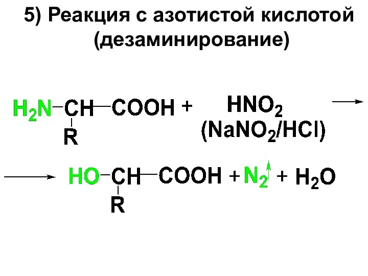 5) Реакция с азотистой кислотой (дезаминирование)