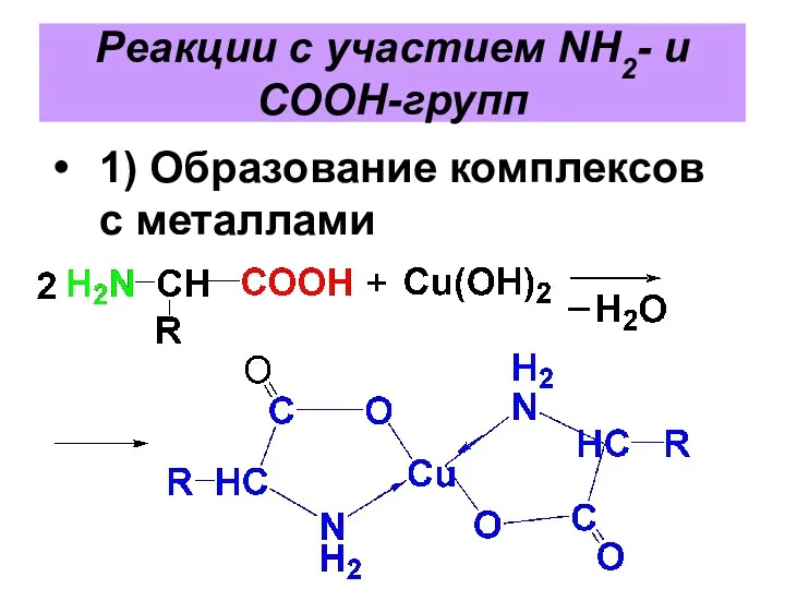 Реакции с участием NH2- и COOH-групп 1) Образование комплексов с металлами