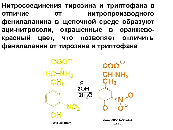 Нитросоединения тирозина и триптофана в отличие от нитропроизводного фенилаланина в