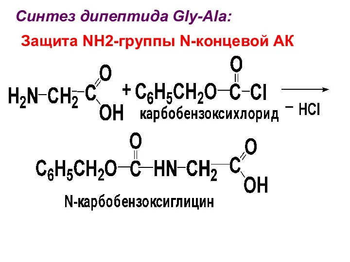 Синтез дипептида Gly-Ala: Защита NH2-группы N-концевой АК