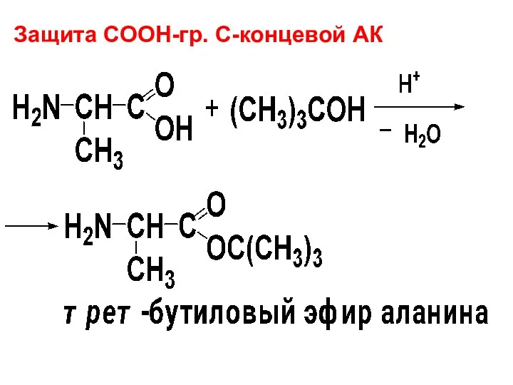 Защита СООН-гр. С-концевой АК