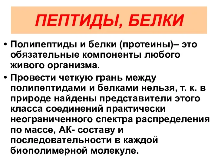 ПЕПТИДЫ, БЕЛКИ Полипептиды и белки (протеины)– это обязательные компоненты любого