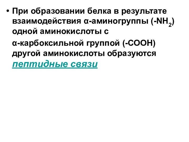 При образовании белка в результате взаимодействия α-аминогруппы (-NH2) одной аминокислоты