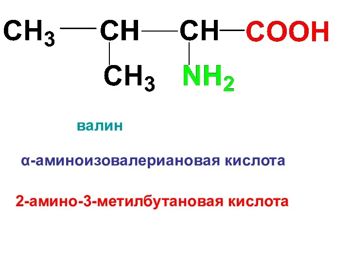 α-аминоизовалериановая кислота валин 2-амино-3-метилбутановая кислота