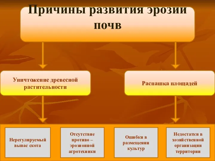 Причины развития эрозии почв Уничтожение древесной растительности Распашка площадей Недостатки