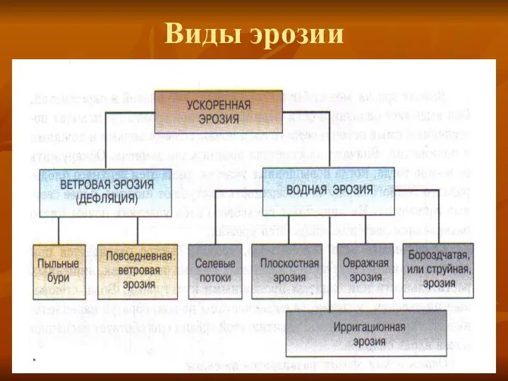 Виды эрозии