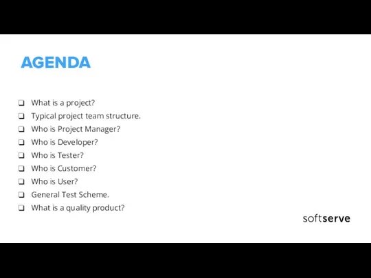 AGENDA What is a project? Typical project team structure. Who