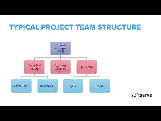 TYPICAL PROJECT TEAM STRUCTURE