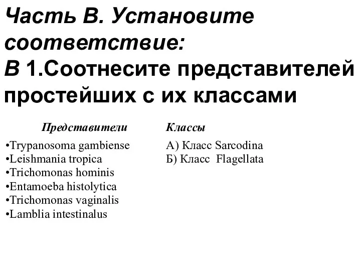 Часть В. Установите соответствие: В 1.Соотнесите представителей простейших с их классами