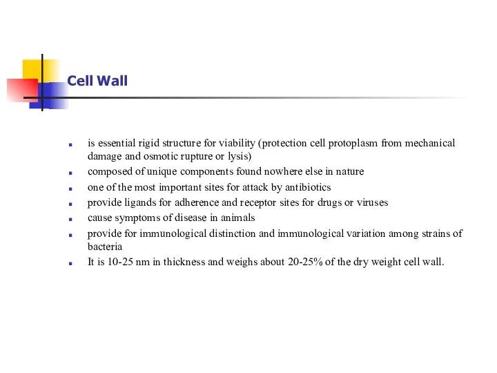 Cell Wall is essential rigid structure for viability (protection cell protoplasm from mechanical