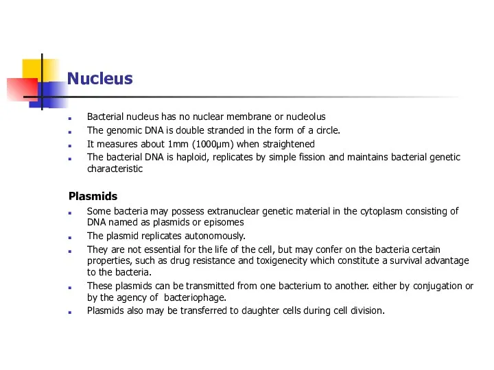 Nucleus Bacterial nucleus has no nuclear membrane or nucleolus The genomic DNA is