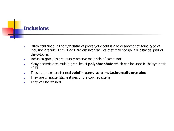 Inclusions Often contained in the cytoplasm of prokaryotic cells is one or another