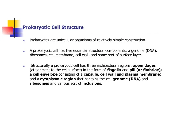 Prokaryotic Cell Structure Prokaryotes are unicellular organisms of relatively simple construction. A prokaryotic