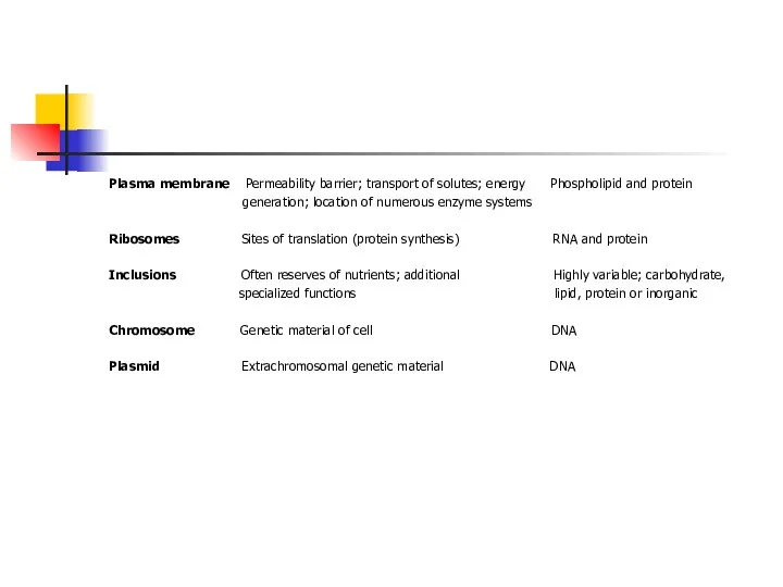 Plasma membrane Permeability barrier; transport of solutes; energy Phospholipid and