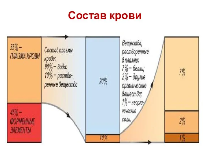 Состав крови