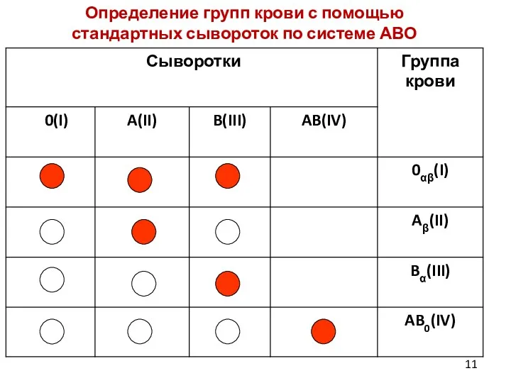 Определение групп крови с помощью стандартных сывороток по системе АВО 11