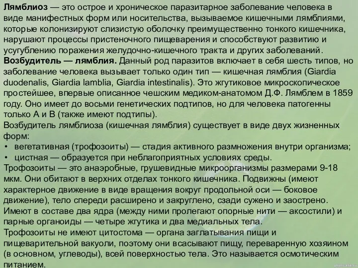 Лямблиоз — это острое и хроническое паразитарное заболевание человека в виде манифестных форм