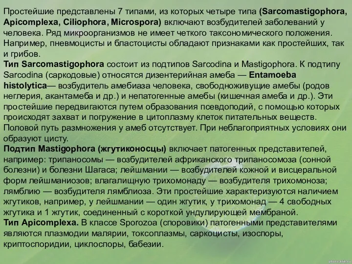 Простейшие представлены 7 типами, из которых четыре типа (Sarcomastigophora, Apicomplexa, Ciliophora, Microspora) включают