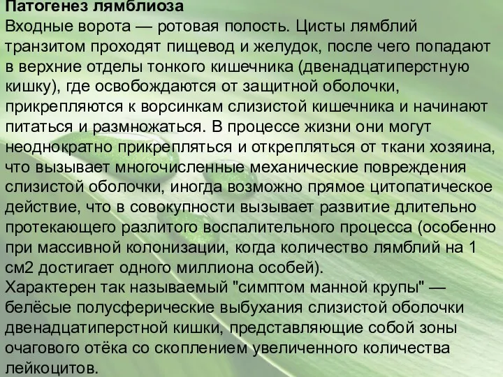 Патогенез лямблиоза Входные ворота — ротовая полость. Цисты лямблий транзитом