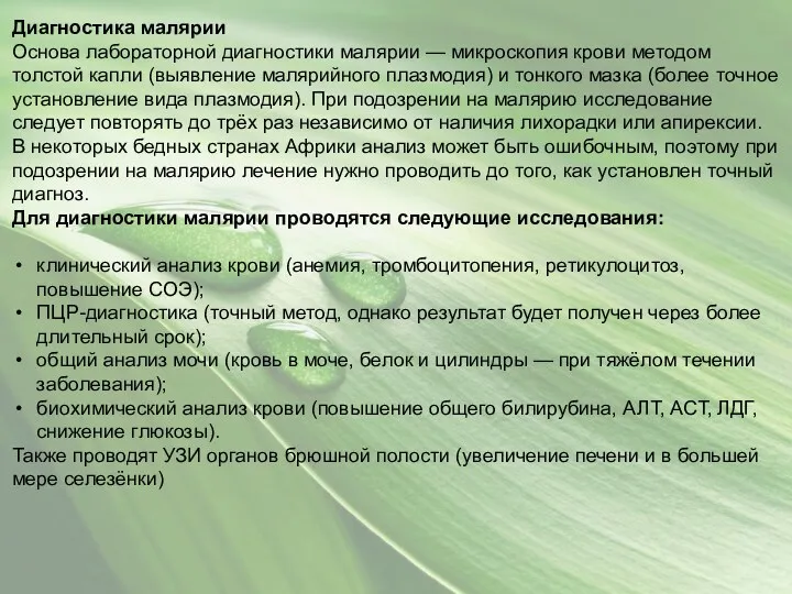 Диагностика малярии Основа лабораторной диагностики малярии — микроскопия крови методом толстой капли (выявление