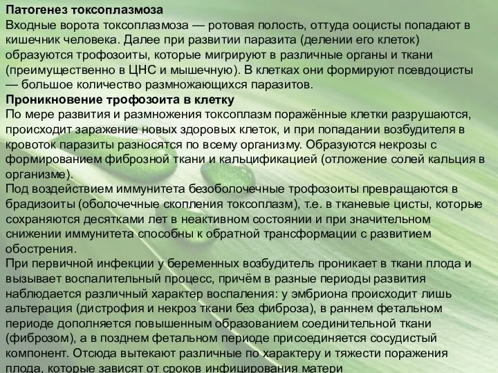 Патогенез токсоплазмоза Входные ворота токсоплазмоза — ротовая полость, оттуда ооцисты