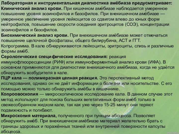 Лабораторная и инструментальная диагностика амёбиаза предусматривает: Клинический анализ крови. При кишечном амёбиазе наблюдается