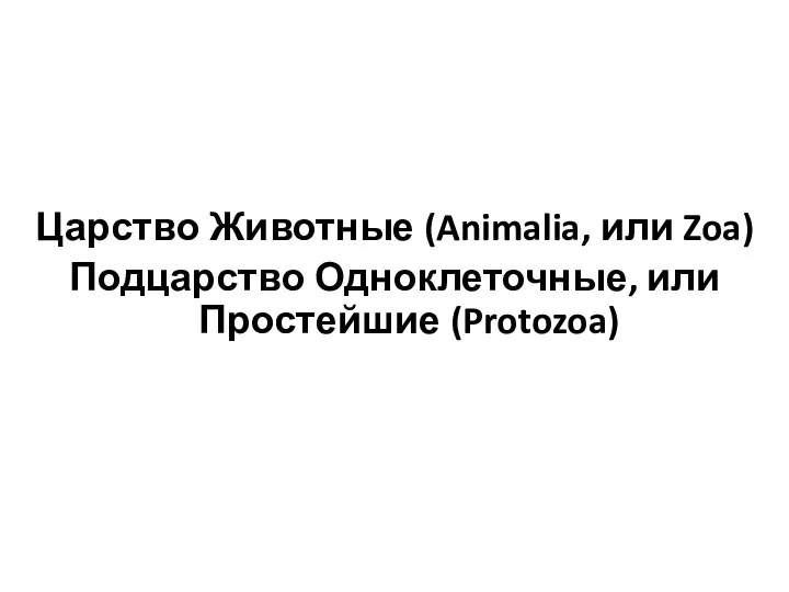 Царство Животные (Animalia, или Zoa) Подцарство Одноклеточные, или Простейшие (Protozoa)