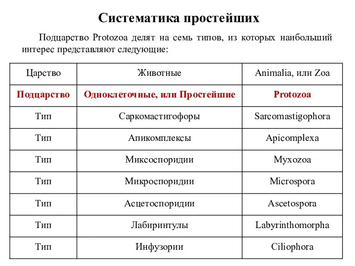 Систематика простейших Подцарство Protozoa делят на семь типов, из которых наибольший интерес представляют следующие: